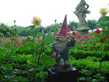 DSC01855