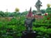 DSC01855